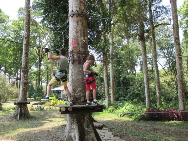 treetop park bedugul
